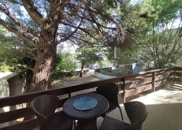Danica Holiday House